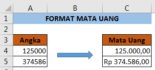 Format mata uang